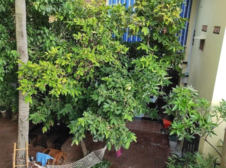 פנסיון Haven Vietnam