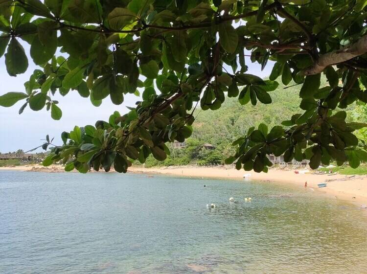 פנסיון Haven Vietnam