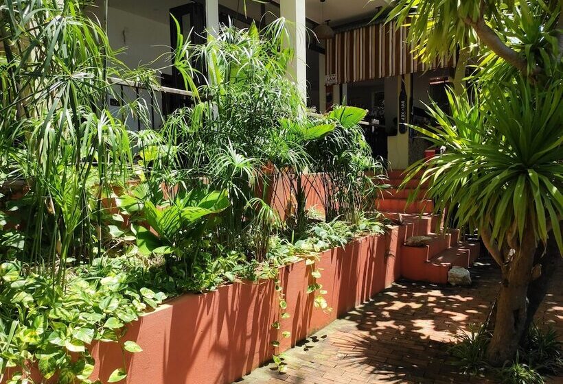 פנסיון Haven Vietnam