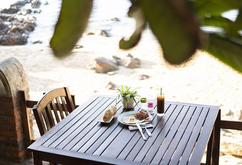 פנסיון Haven Vietnam