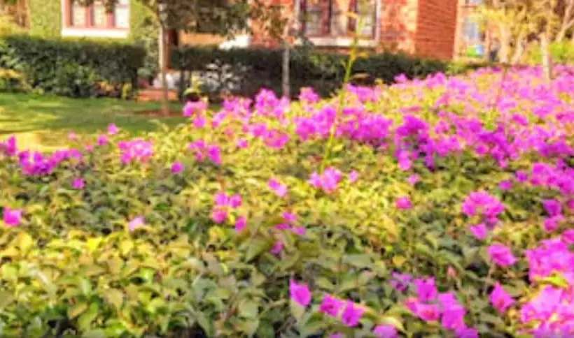 پانسیون Kasulu Motel