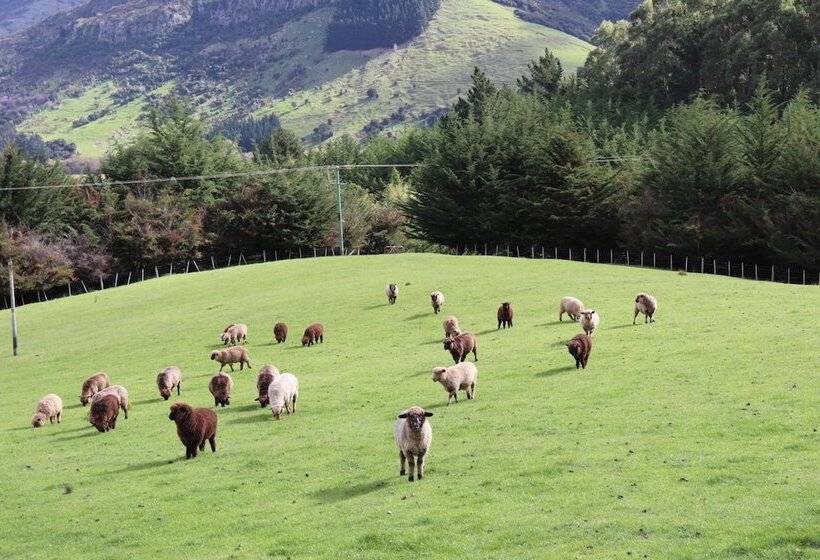 פנסיון Loch Sloy Farmstay