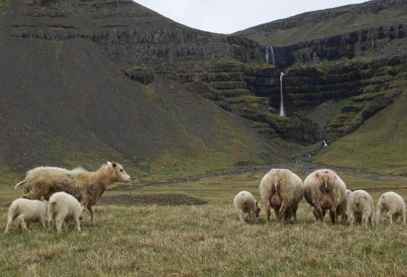 پانسیون Móra Guesthouse