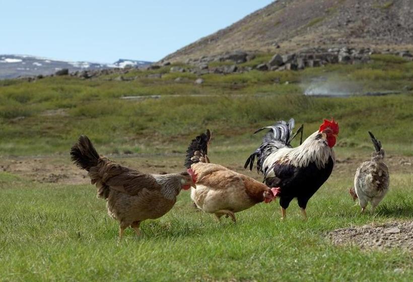 پانسیون Móra Guesthouse