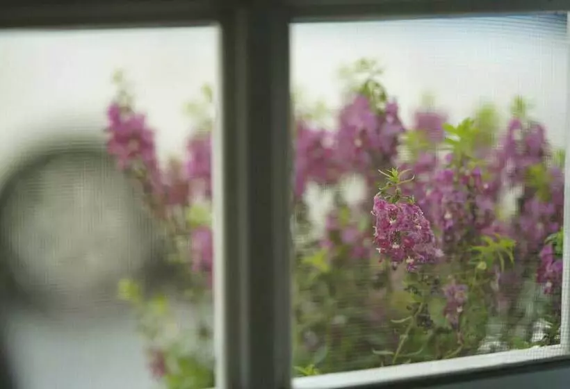 پانسیون 日月潭 讀好民宿 Read Nice House B&b