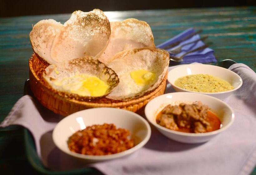 Back Of Beyond   Wellness Retreat