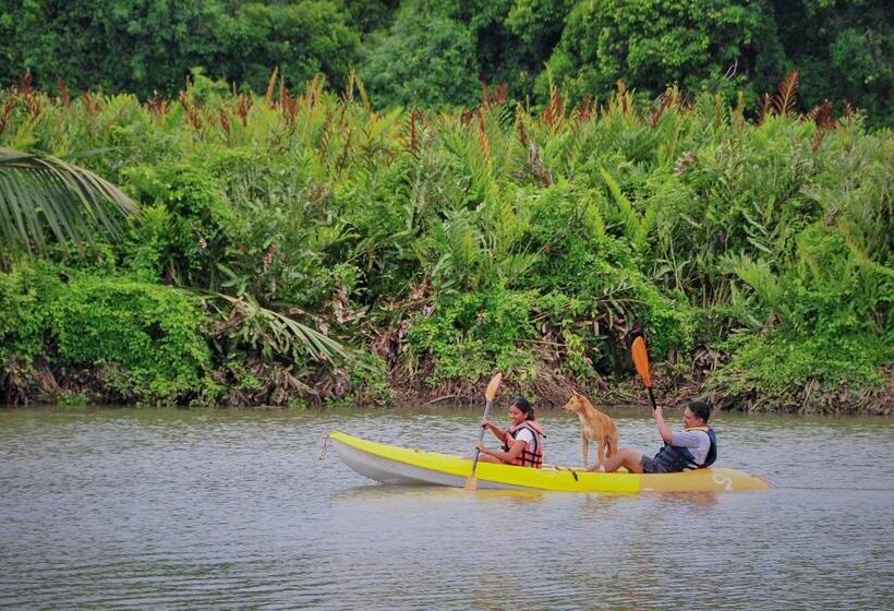 Back Of Beyond   Wellness Retreat