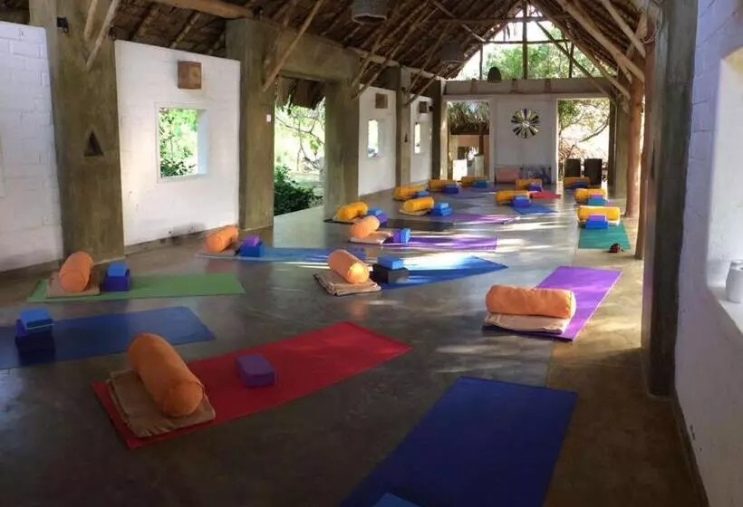 Back Of Beyond   Wellness Retreat