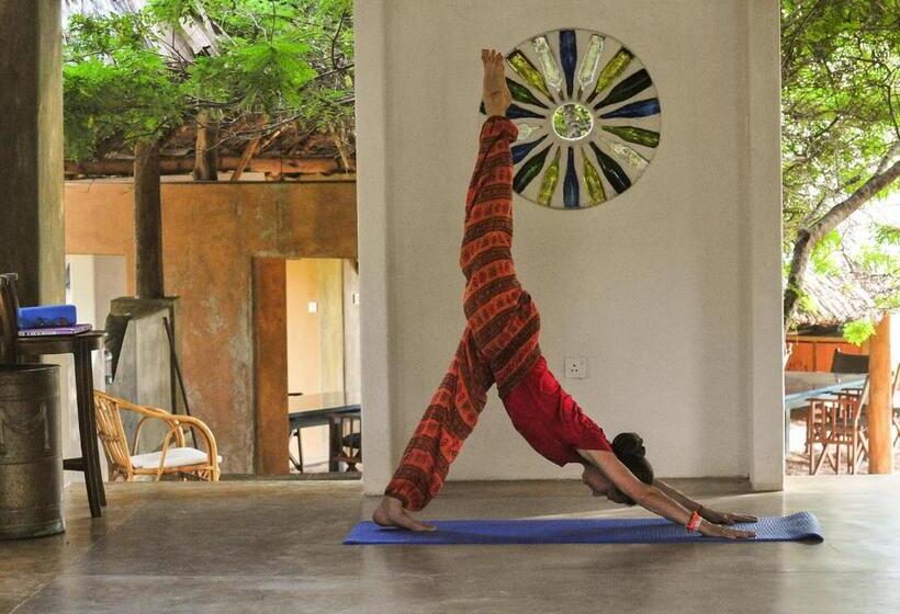 Back Of Beyond   Wellness Retreat