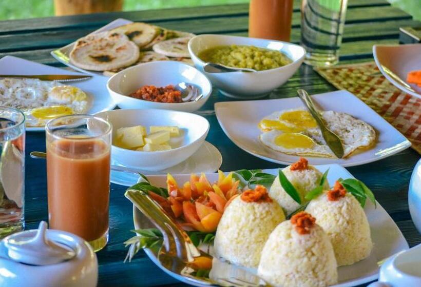 Back Of Beyond   Wellness Retreat