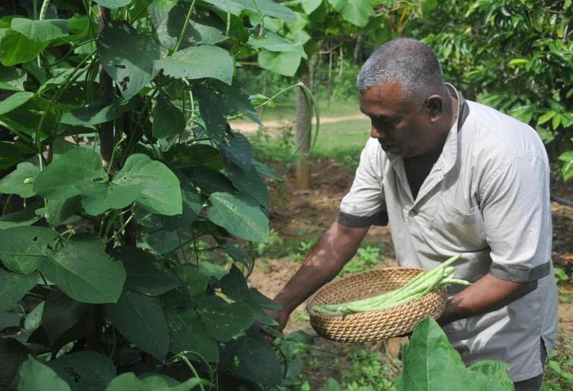 Back Of Beyond   Wellness Retreat