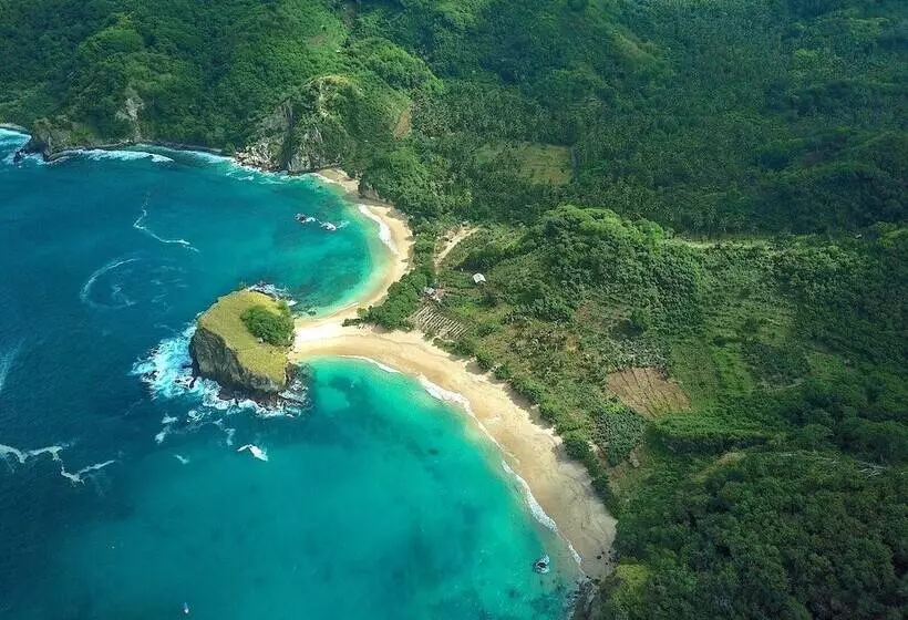 فندق Coconut Garden Beach Resort