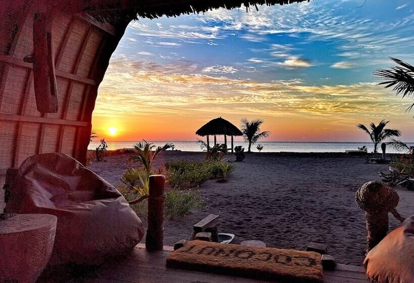 فندق Coconut Garden Beach Resort