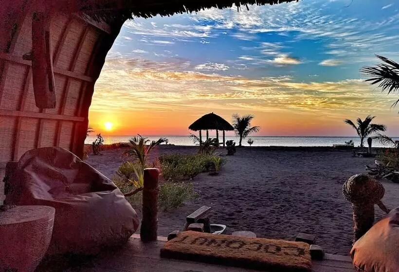 فندق Coconut Garden Beach Resort