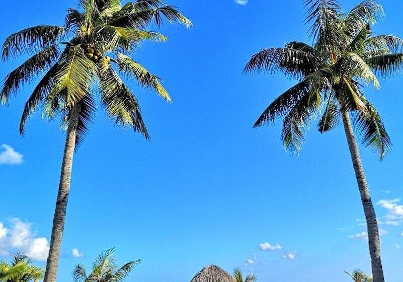 فندق Coconut Garden Beach Resort