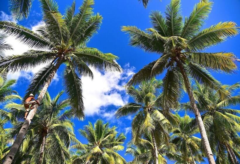 فندق Coconut Garden Beach Resort