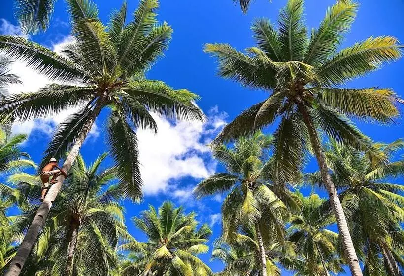 فندق Coconut Garden Beach Resort