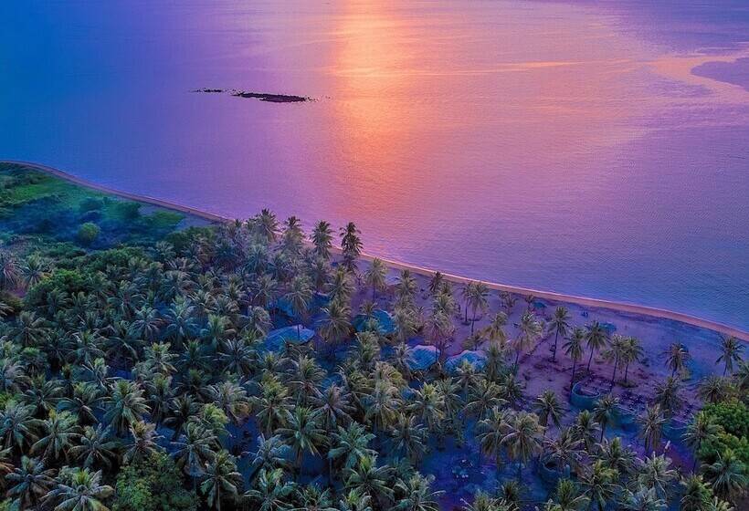 فندق Coconut Garden Beach Resort