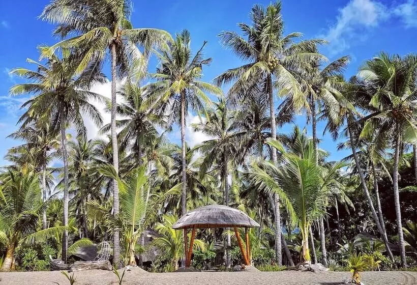 فندق Coconut Garden Beach Resort