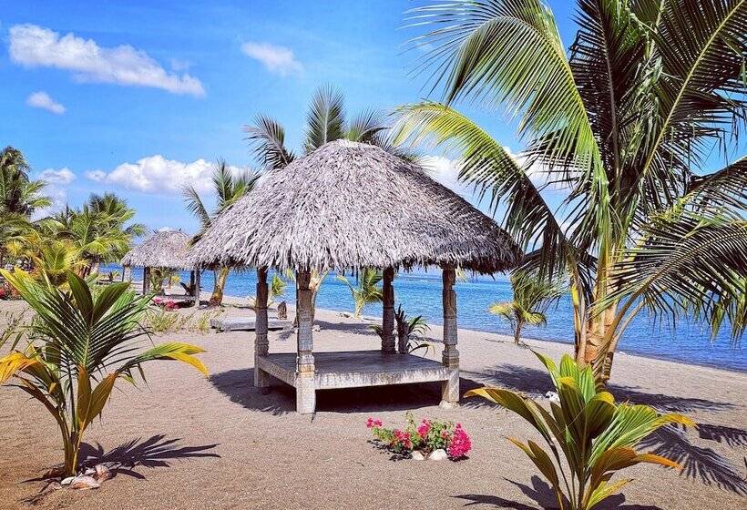 فندق Coconut Garden Beach Resort