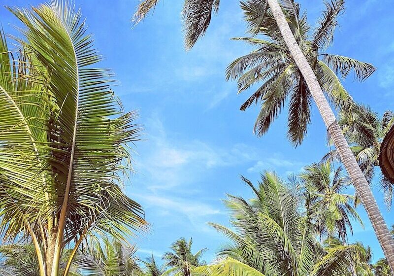 فندق Coconut Garden Beach Resort