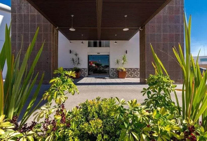 ホテル Mexico Inn Express