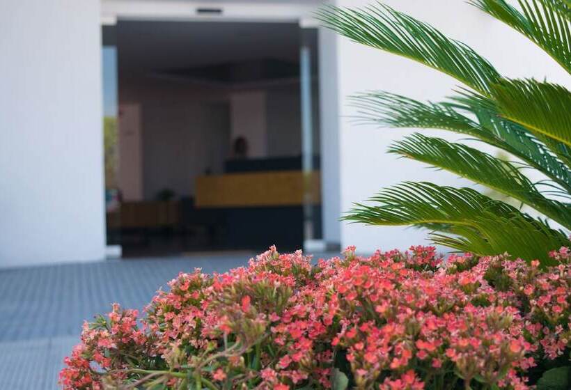 فندق Mexico Inn Express