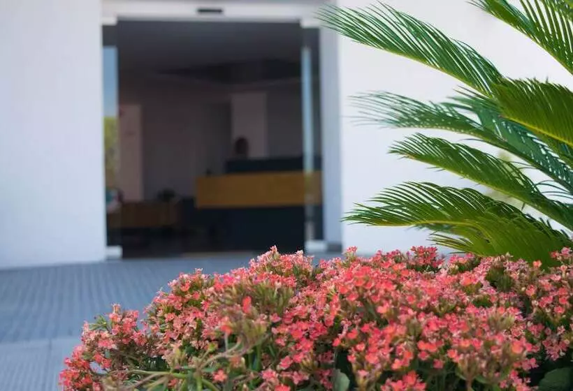 ホテル Mexico Inn Express