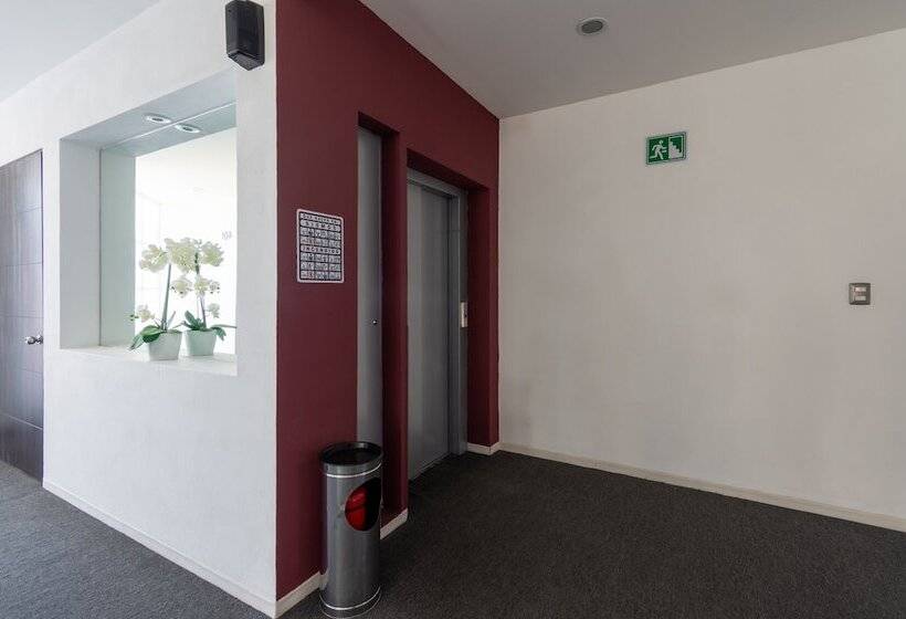 فندق Mexico Inn Express