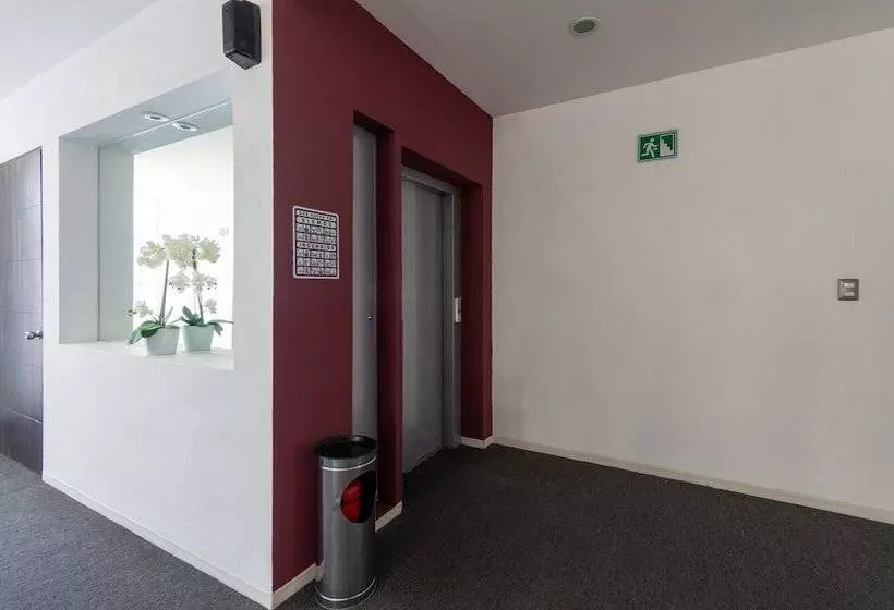 ホテル Mexico Inn Express