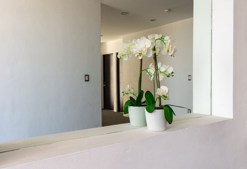 فندق Mexico Inn Express