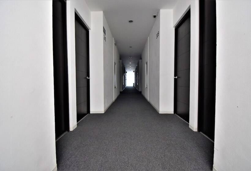 فندق Mexico Inn Express