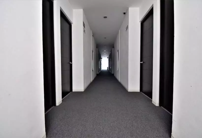 ホテル Mexico Inn Express