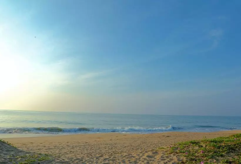 בית מלון כפרי Nature Lanka Ayurveda Resort