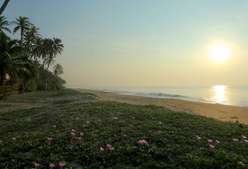 Отель Nature Lanka Ayurveda Resort