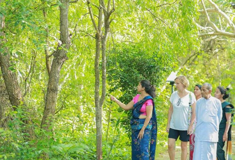 Отель Nature Lanka Ayurveda Resort