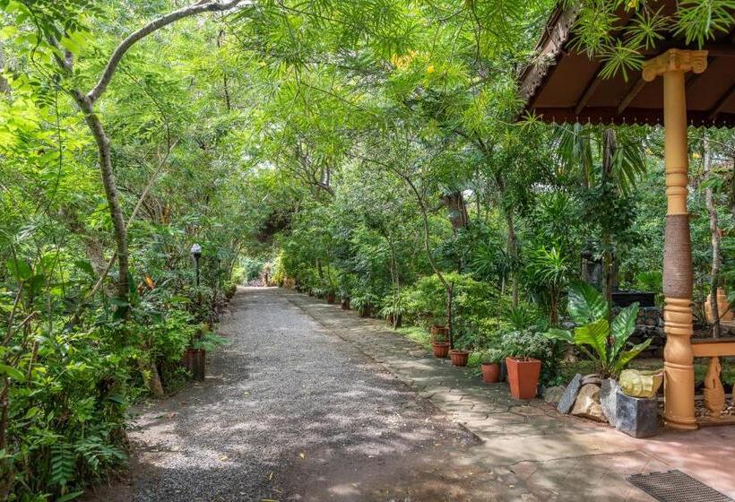 Отель Nature Lanka Ayurveda Resort