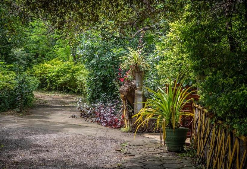 Отель Nature Lanka Ayurveda Resort