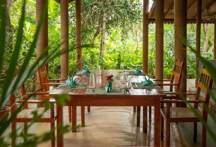 Отель Nature Lanka Ayurveda Resort
