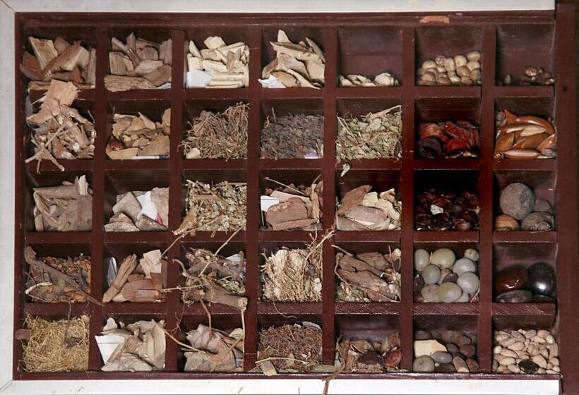 Отель Nature Lanka Ayurveda Resort