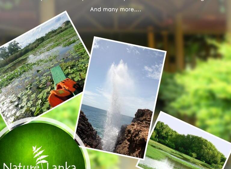 Отель Nature Lanka Ayurveda Resort