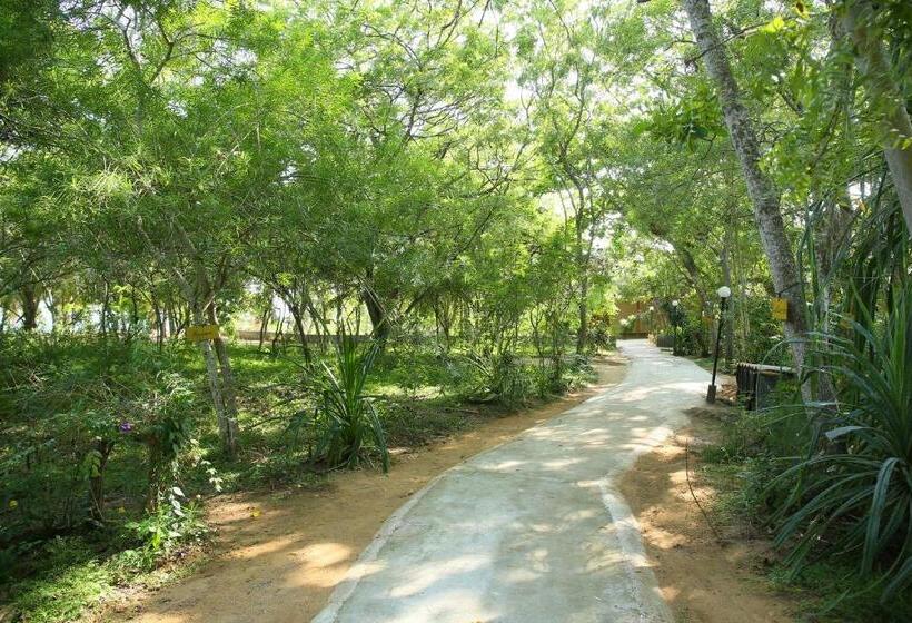 Отель Nature Lanka Ayurveda Resort