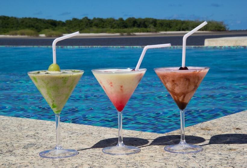 酒店 Pousada Jirituba