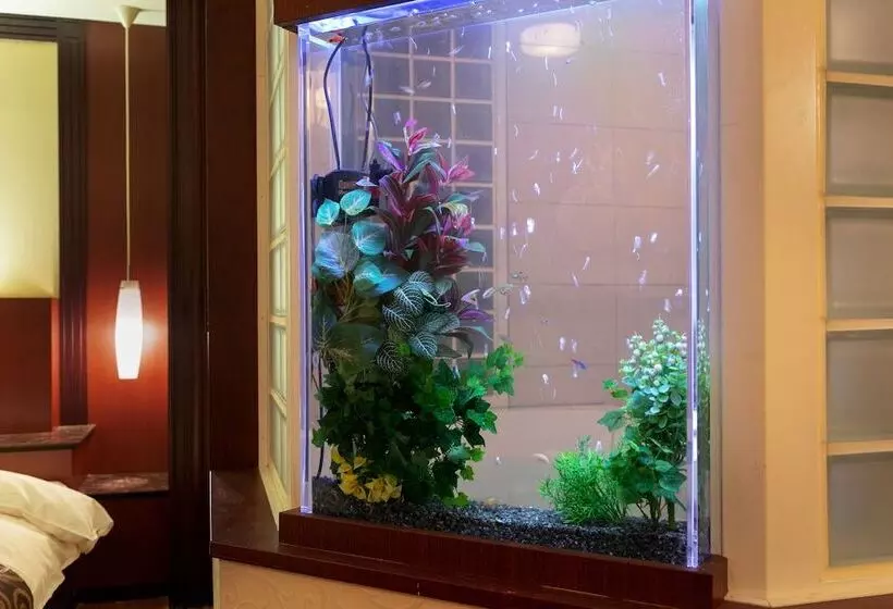 Отель & Spa Lotus