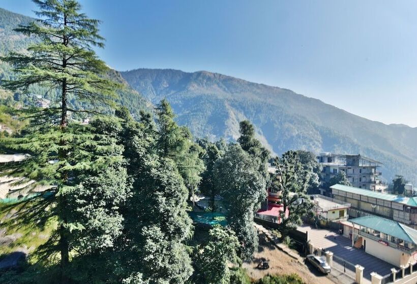 ホテル The Oak Valley