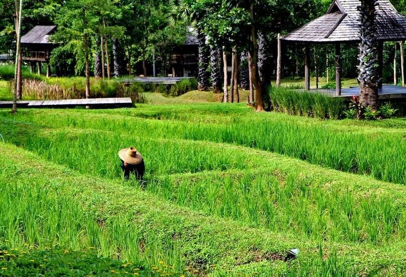 בית מלון כפרי Veranda High Residence