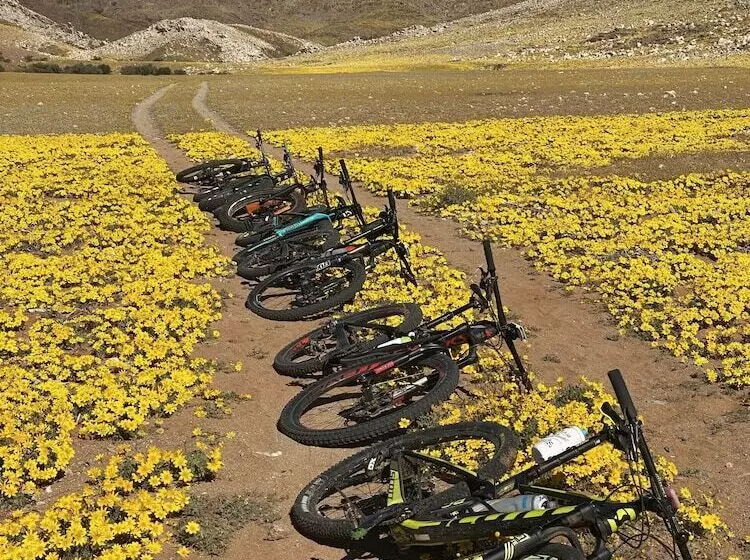 Klein Aus Vista Eagle´s Nest Chalets