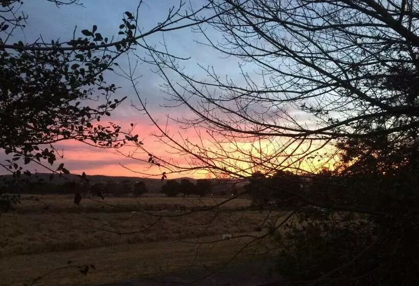 Мотель Idlewilde Country & Town Motorinn