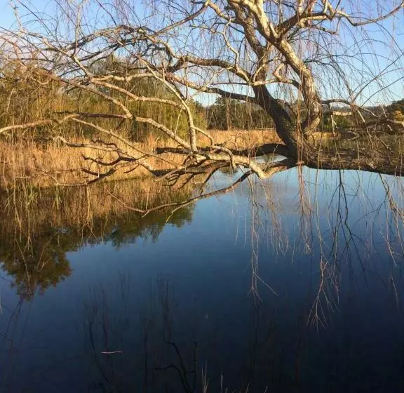 Мотель Idlewilde Country & Town Motorinn