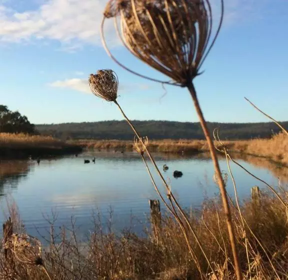 Мотель Idlewilde Country & Town Motorinn